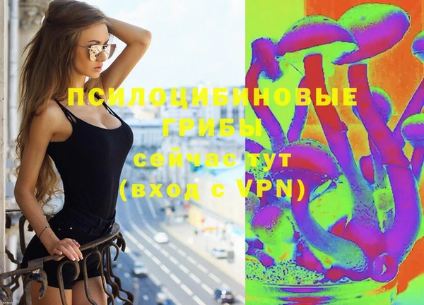 таблы Алексин