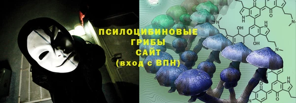 каннабис Арсеньев