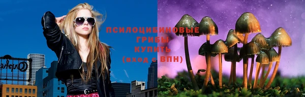 эйфоретик Алзамай