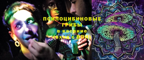 эйфоретик Алзамай